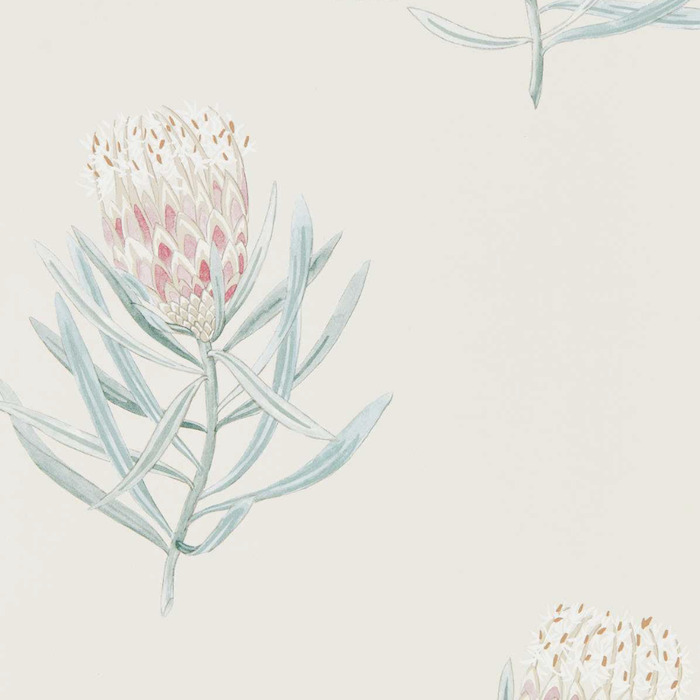 Sanderson wallpaper curios 38 product detail
