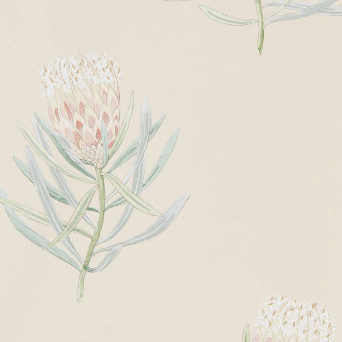 Sanderson wallpaper curios 39 product detail