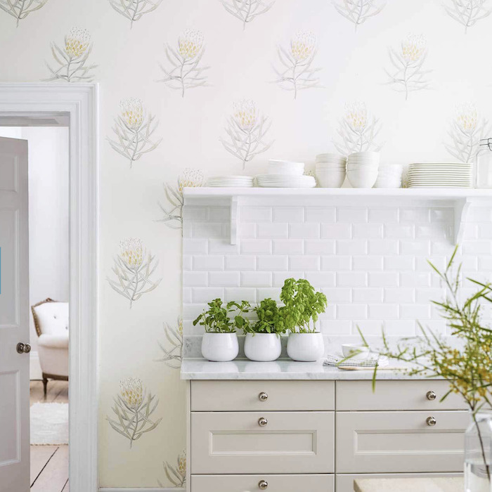 Protea wallpaper product detail