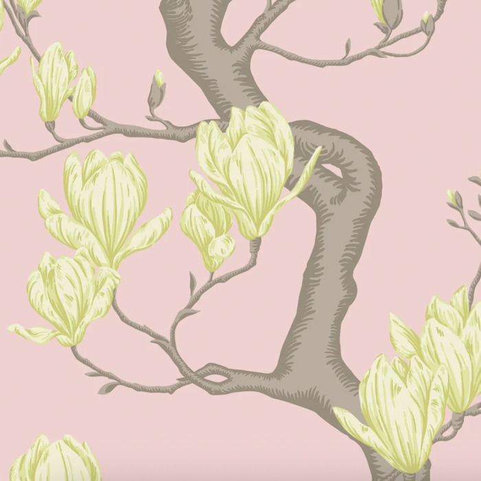 Cole and son wallpaper classics ii 5 product detail