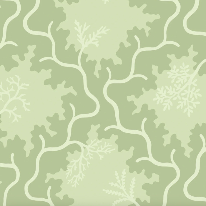 Cole and son wallpaper classics ii 24 product detail