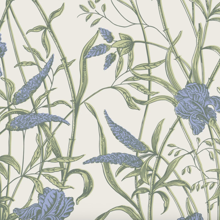 Cole and son wallpaper classics ii 25 product detail