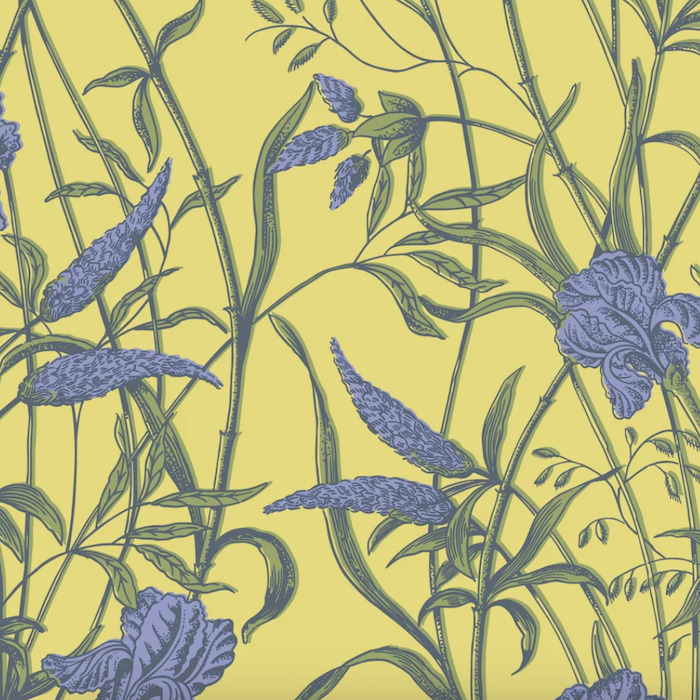 Cole and son wallpaper classics ii 29 product detail