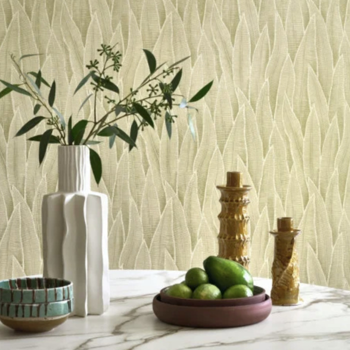 Sansevieria wallpaper product detail
