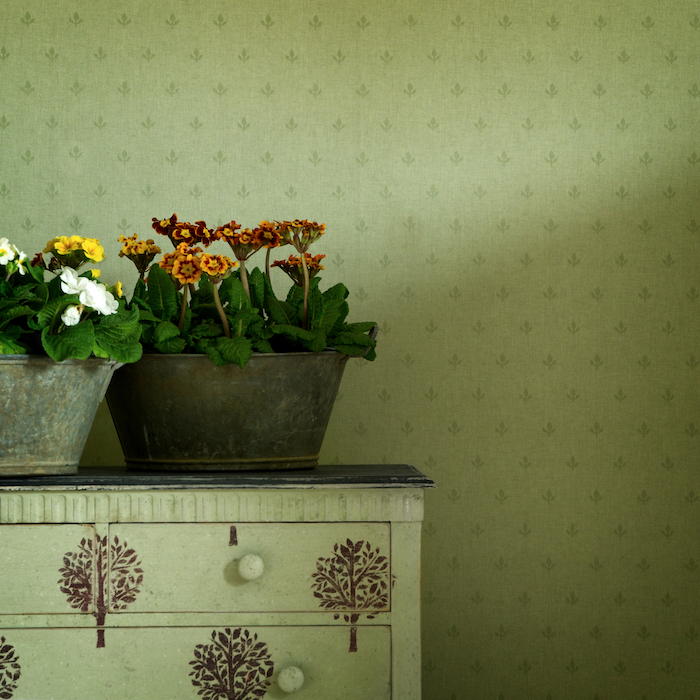 Crocus wallpaper product detail