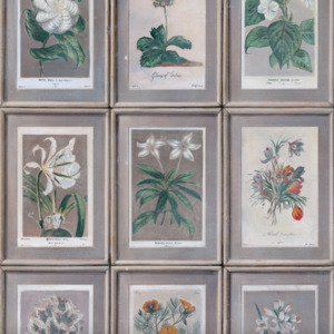 Andrew martin curator 3 product listing