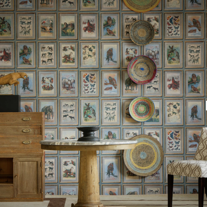 Zoology wallpaper product detail