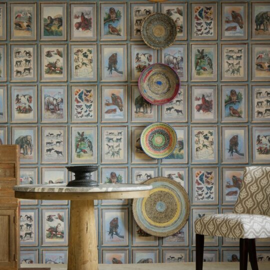 Andrew martin curator collection large square