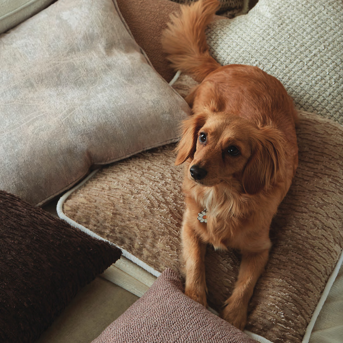 Harmony fabric product detail