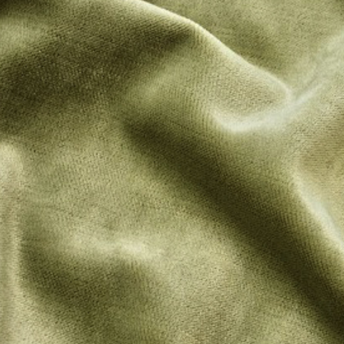 Chase erwin fabric scala 20 product detail