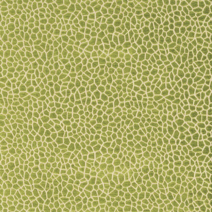 Matthew williamson samana 3 product detail