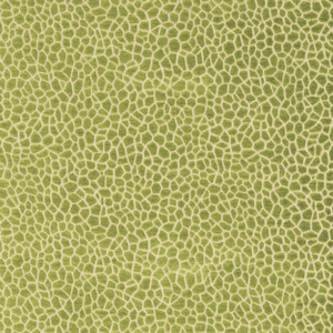 Matthew williamson samana 3 product listing