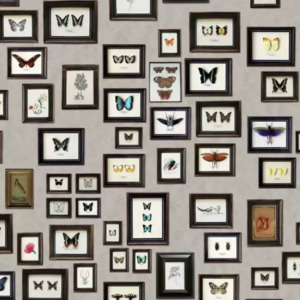 Matthew williamson wallpaper durbar 11 product listing