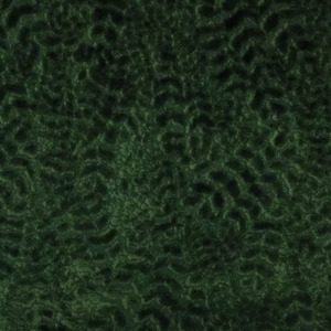 Nina campbell fabric cathay weaves 9 product listing