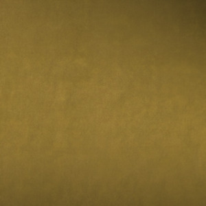 Nina campbell fabric gabrielle 10 product listing