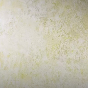 Osborne and little wallpaper enchanted gardens 11 product listing