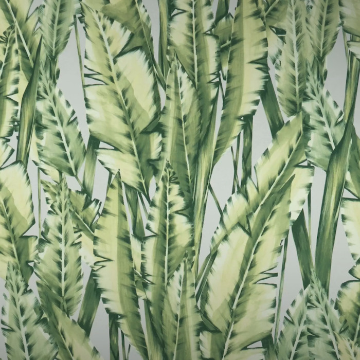 Osborne and little wallpaper folium 16 product detail