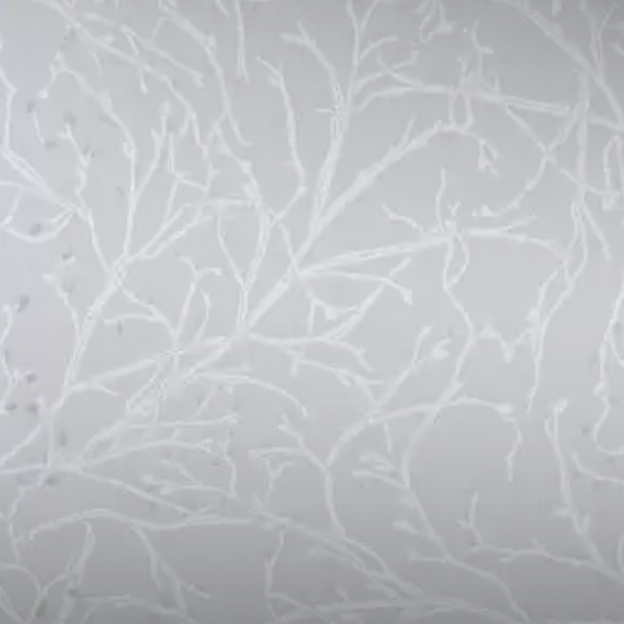 Osborne and little wallpaper folium 33 product detail