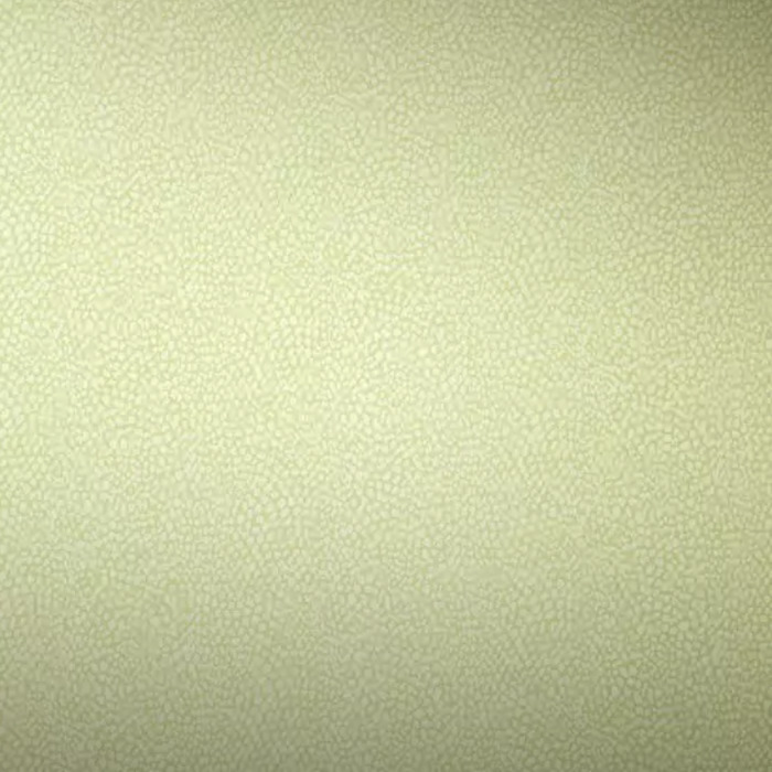 Osborne and little wallpaper persian garden 3 product detail