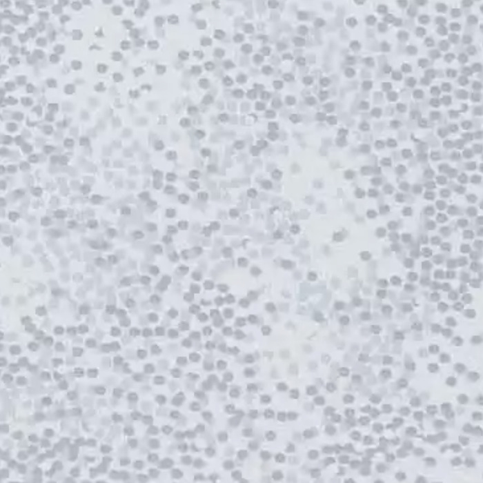 Osborne and little fabric intermezzo 29 product detail