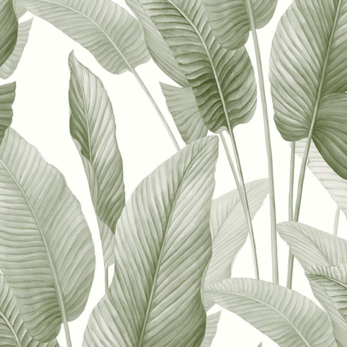 Today interiors wallpaper bali 2 product detail