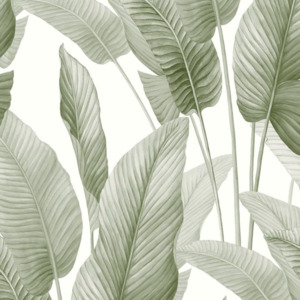 Today interiors wallpaper bali 2 product listing