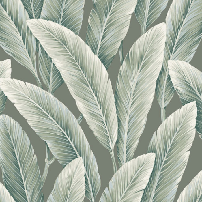 Today interiors wallpaper savannah grass 7 product detail