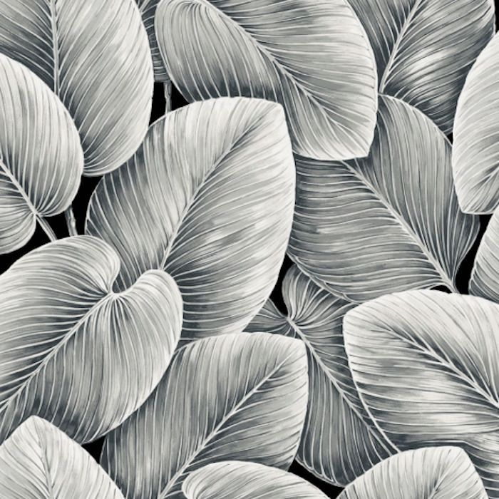 Today interiors wallpaper savannah grass 25 product detail