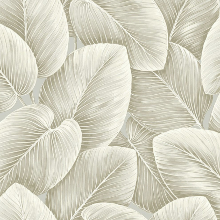 Today interiors wallpaper savannah grass 24 product detail