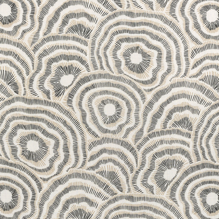 Kravet corey damen jenkins 44 product detail