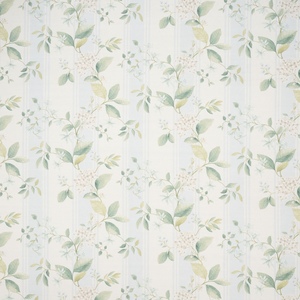 Iliv botanical archive 24 product listing