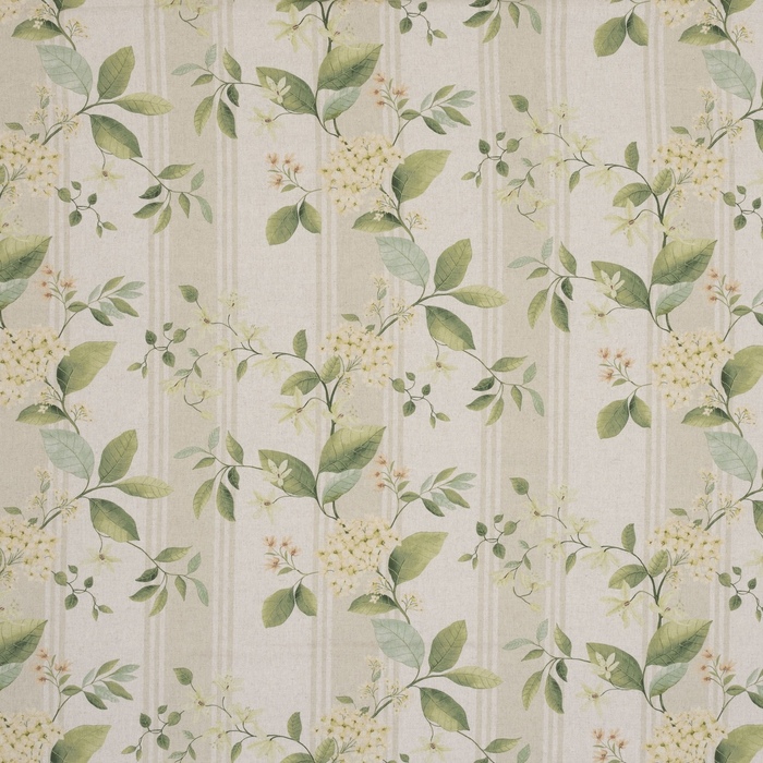 Iliv botanical archive 25 product detail