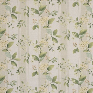 Iliv botanical archive 25 product listing