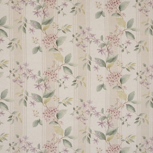 Iliv botanical archive 29 product listing