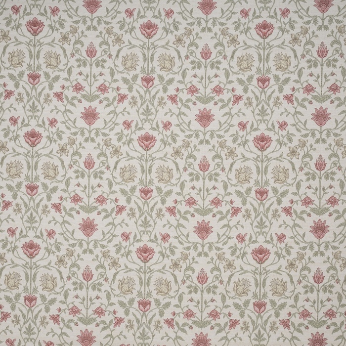 Iliv botanical archive 38 product detail