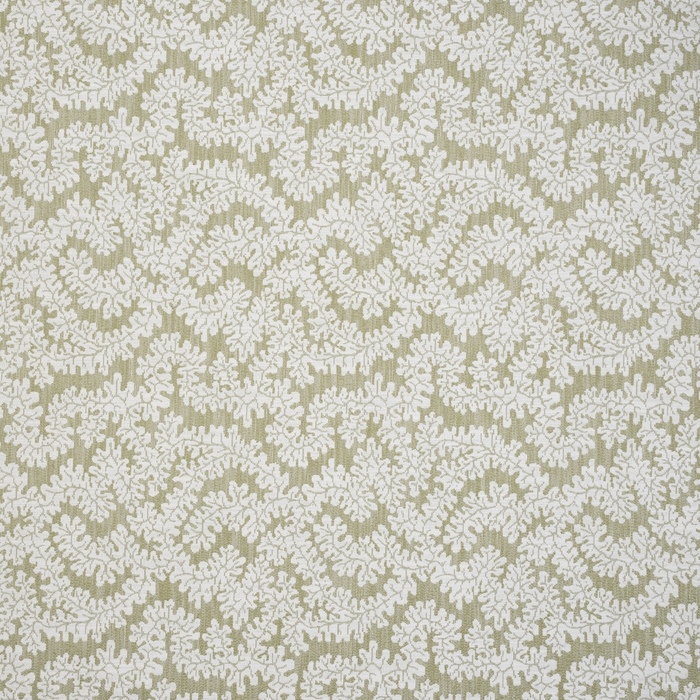 Iliv terrana 24 product detail