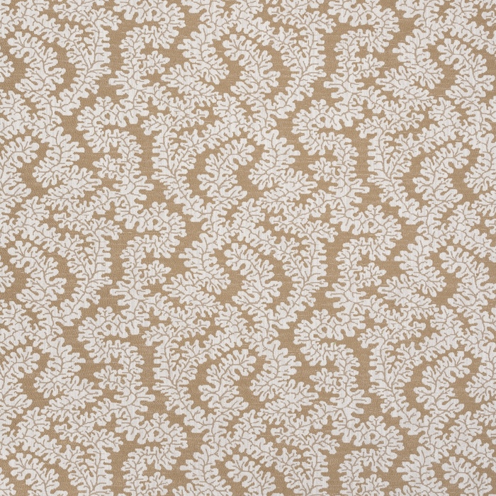 Iliv terrana 28 product detail