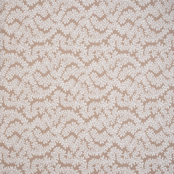 Iliv terrana 29 product detail
