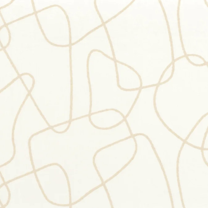 Camengo artist 2 product detail